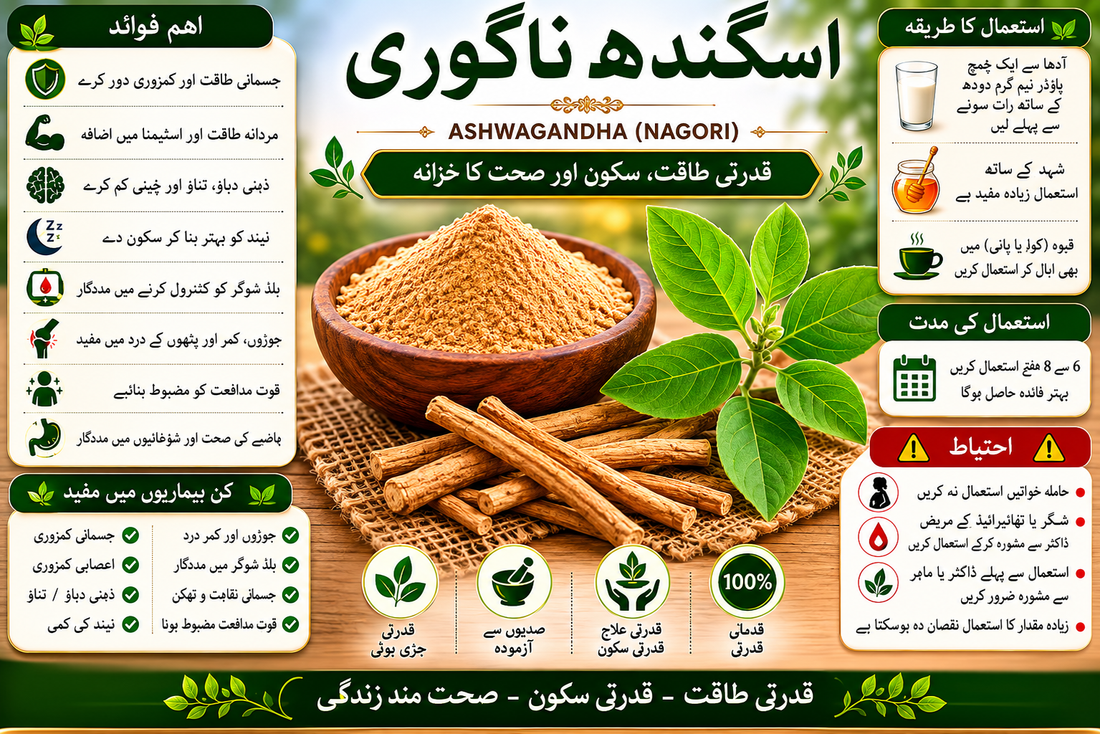 Ashwagandha(Nagori) اسگندھ ناگوری — قدرتی طاقت، سکون اور صحت کا خزانہ